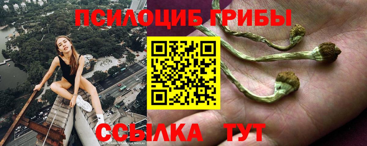 Галлюциногенные грибы Psilocybe  Вход с VPN  Псилоцибиновые грибы Cubensis  Славгород 