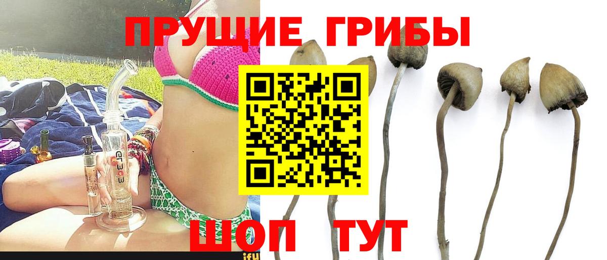 Галлюциногенные грибы ЛСД Славгород